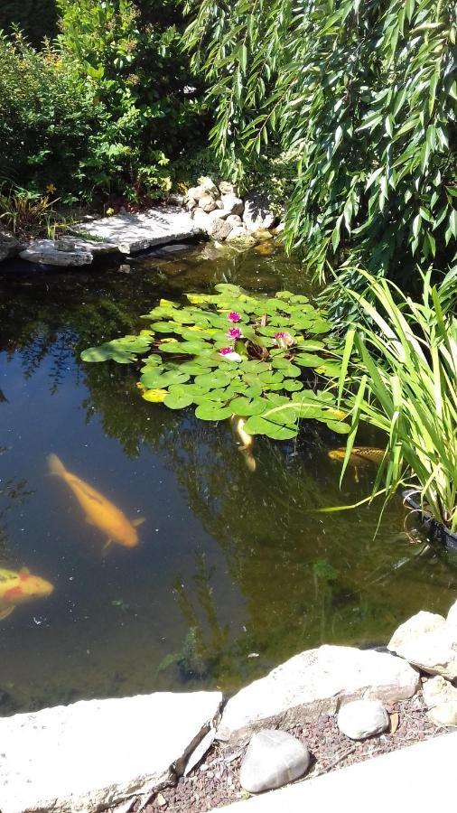 Le Jardin De Nemo Bed & Breakfast บิสการ์รอส ภายนอก รูปภาพ